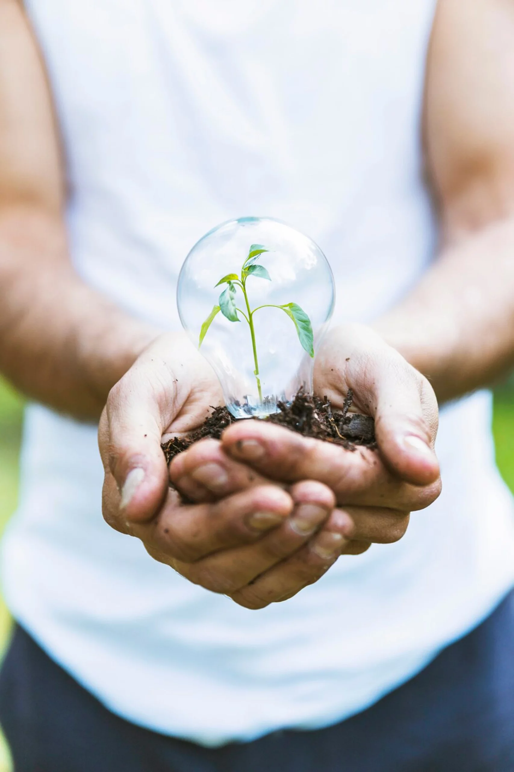 Développement durable 3 Une meilleure gestion de l’eau