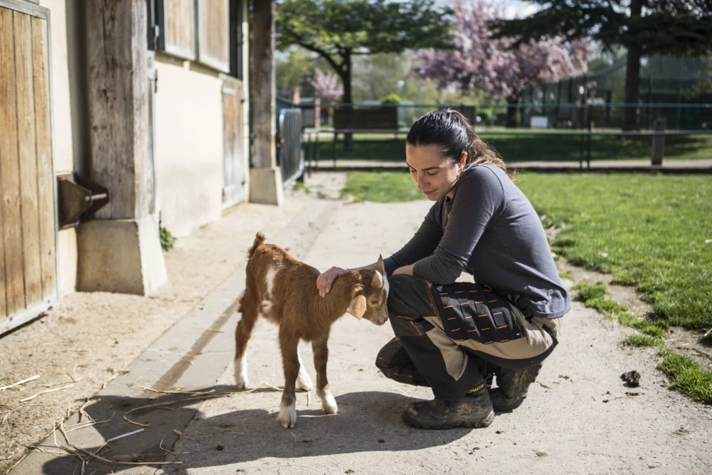 Présentation de la protection animale - Choisy-le-Roi