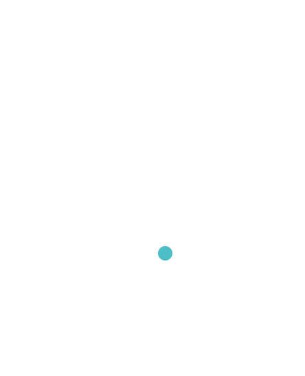 Aménagement du pont Rondu