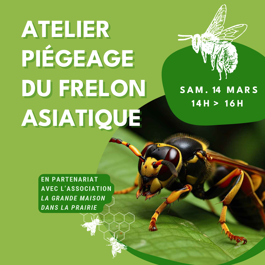 mairie choisyleroi atelier frelon asiatique mars 2026 2